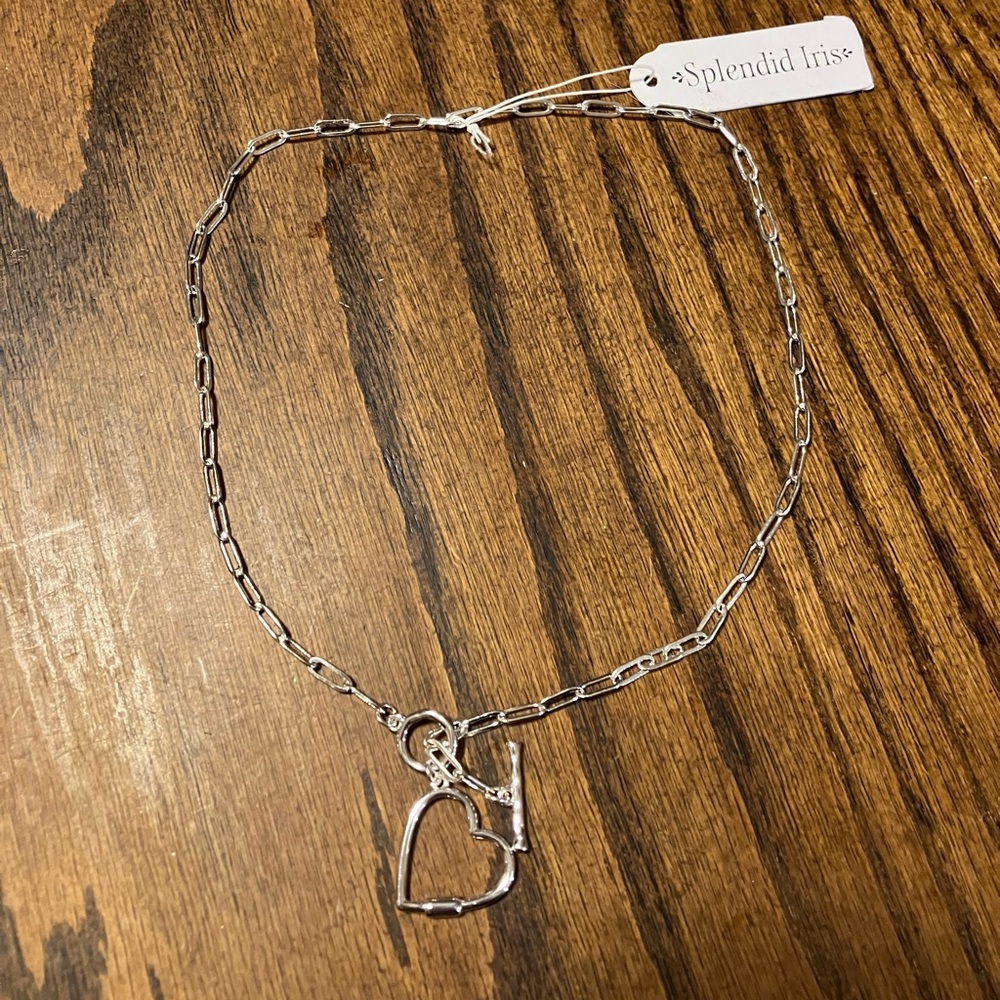 Splendid Iris Silver Paper Clip Necklace